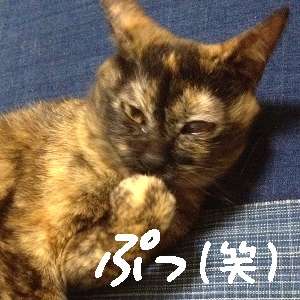 ネコが子供の足を引っかけて転ばせた!?これはぜったいわざとｗｗ 