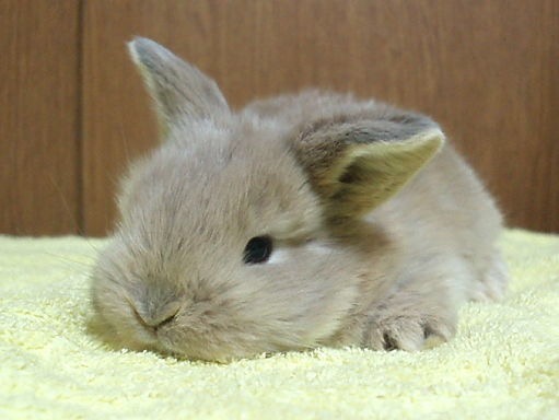 この人、わたしのこと好きだなーと思う時