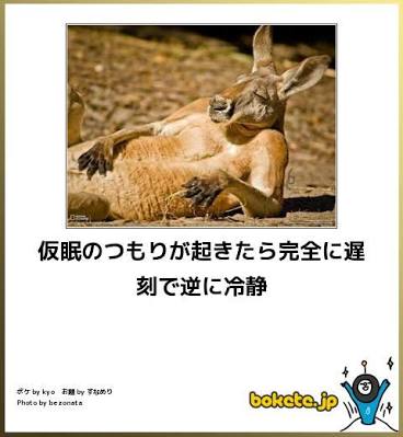 ボケて！で笑った動物編