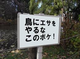 うどんなどの残飯を公園にまき散らした疑い「鳥なんかの餌になればいいと思った」