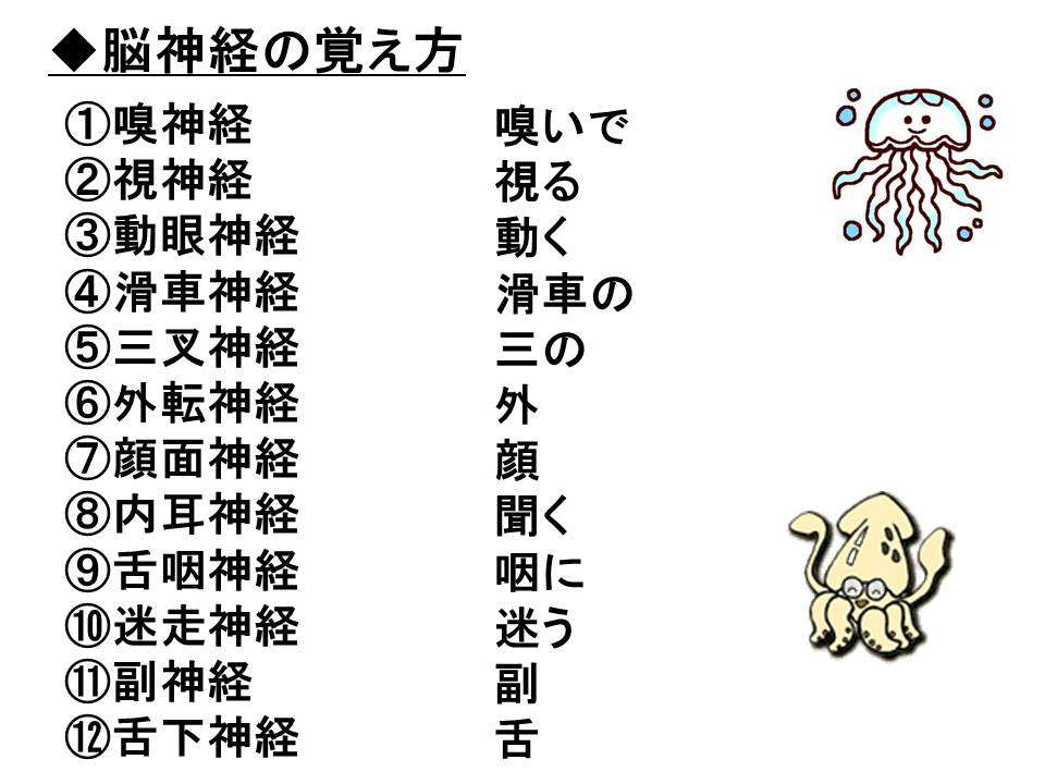たまに思い出す授業で習った言葉