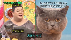 色んなマツコ・デラックスをみてみたい！