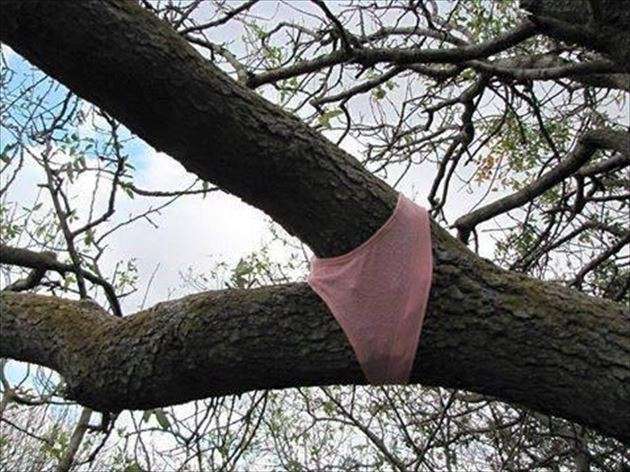 エロくないのにエロく見える画像