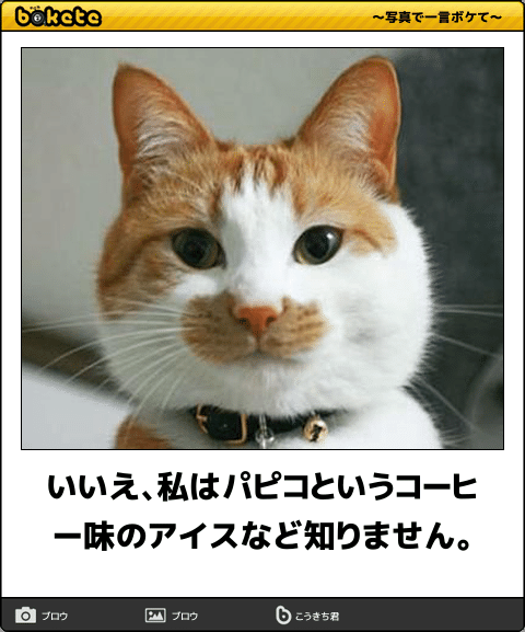 ボケて！で笑った動物編