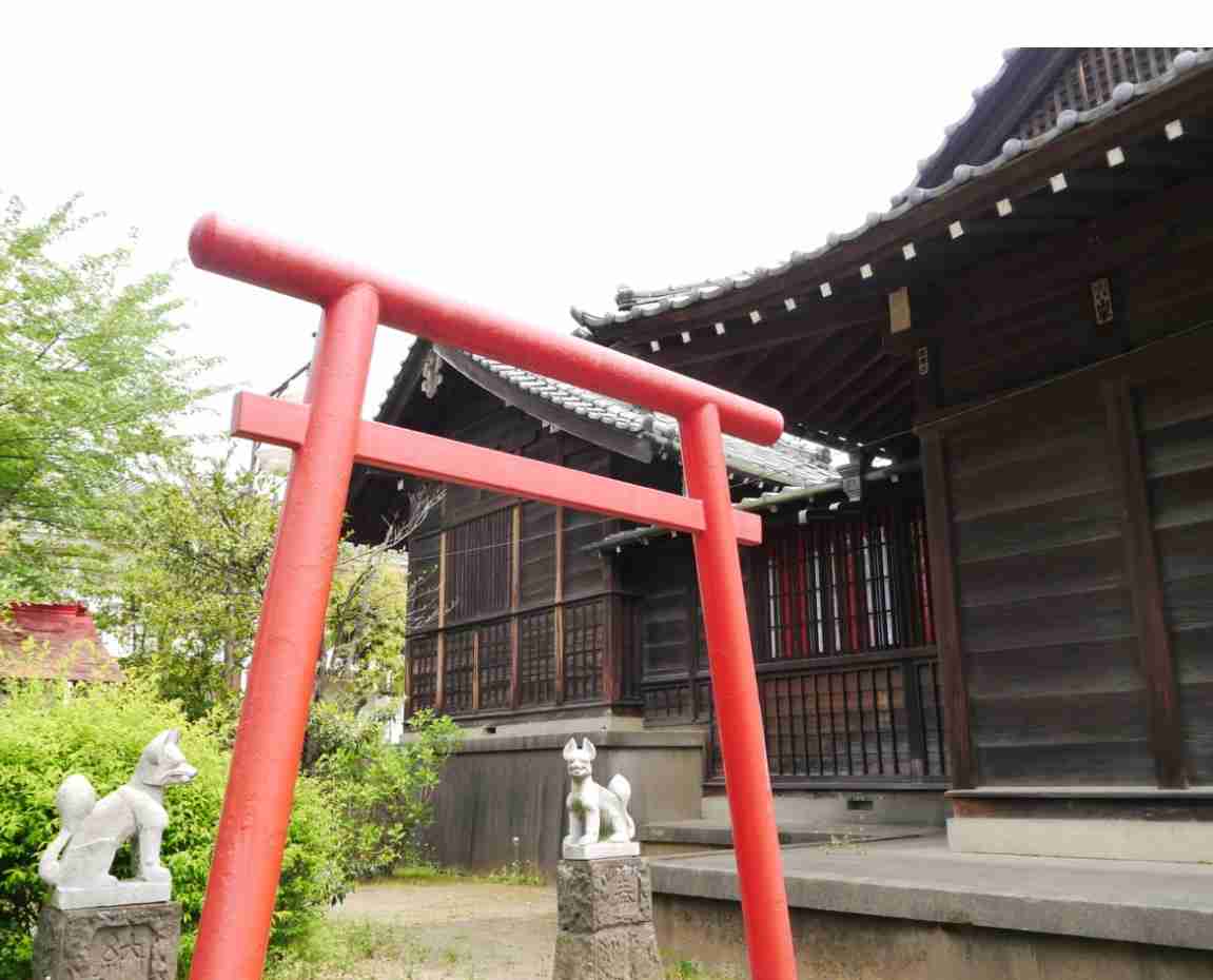 前厄・本厄・後厄