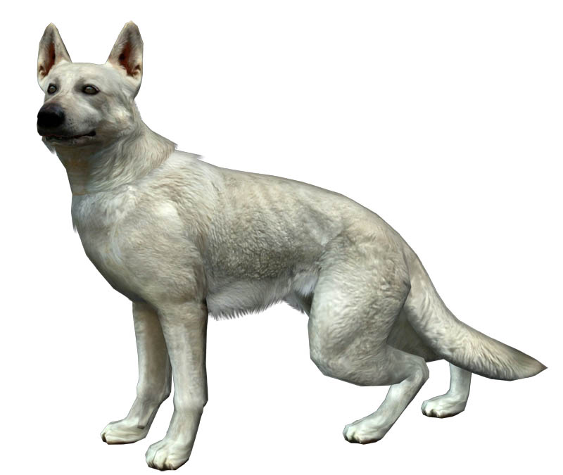 蒼井優に熱愛発覚　お相手はミュージシャン石崎ひゅーい