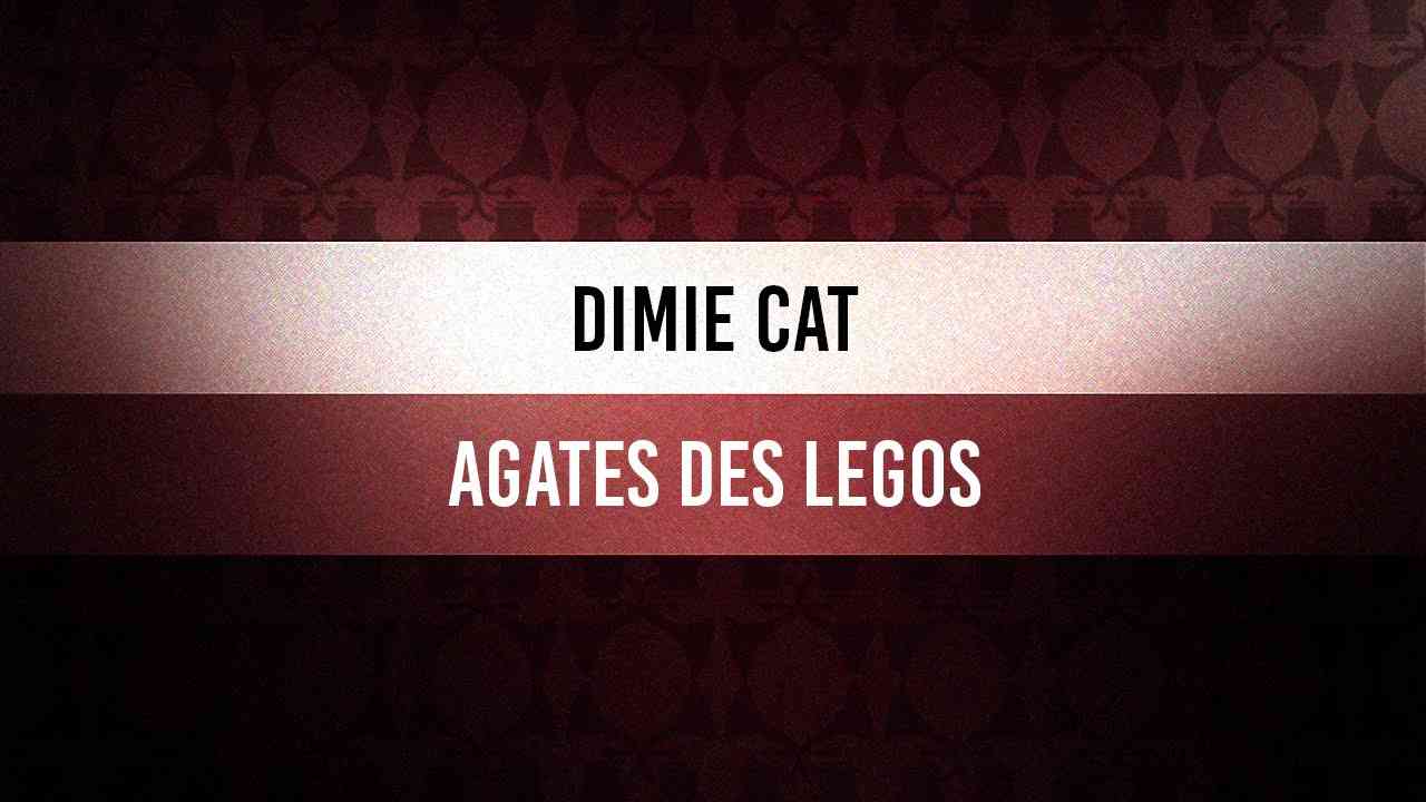 ♫ Groove Of The Day | Dimie Cat - Agates des Legos - YouTube
