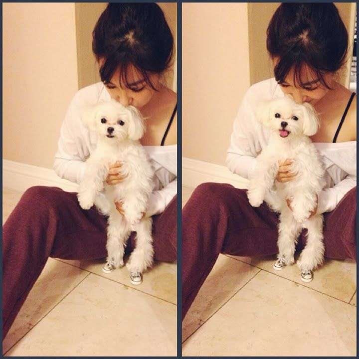 犬好きあるある♪