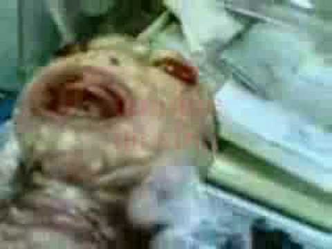 REPTILIAN NEWBORN - YouTube