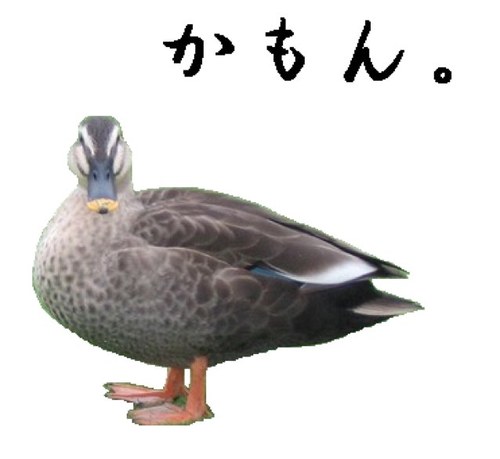 福山雅治、映画『SCOOP!』大苦戦!! 前作『そして父になる』から興収“約5割減”の危機