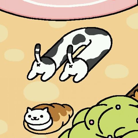 狭い場所に執着する猫の画像が見たい