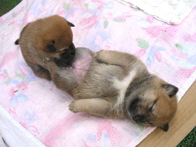 エロくないのにエロく見える画像
