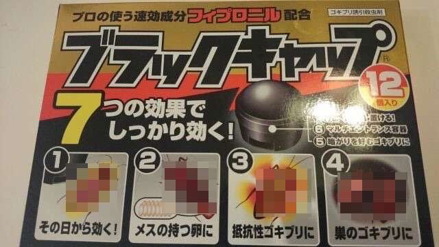 【ゴキ画像禁止】ゴキブリが苦手じゃない人の話が聞きたい