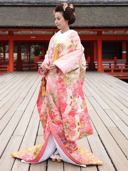 本当は一度着てみたい服
