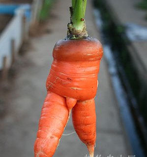 エロくないのにエロく見える画像