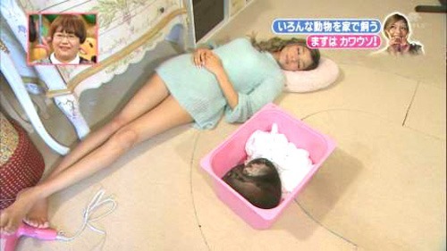 旦那さん、彼氏が無呼吸症候群の方