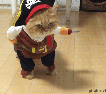 【子供か動物限定】ハロウィンのかわいいコスプレ画像を集めよう。