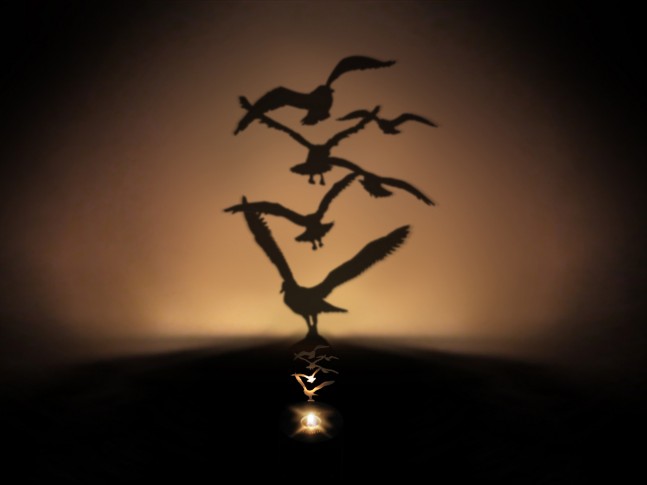 可愛いランプorライト