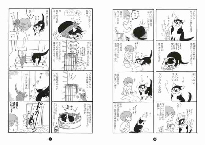 大当たり作品多し！ 癒されるかわいいネコの漫画10選