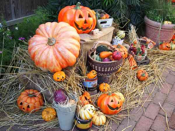 ハロウィンを感じる画像