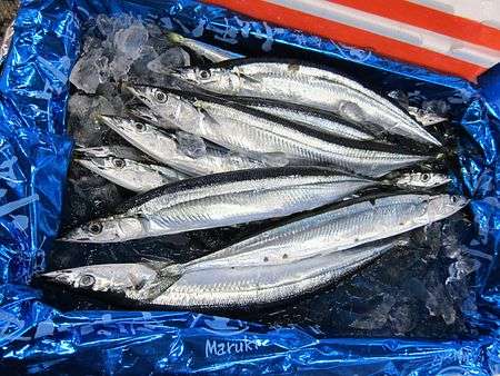 サンマ、ようやく手ごろに 北海道で水揚げ回復