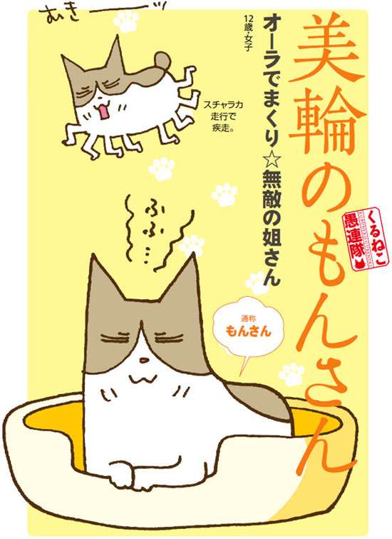 大当たり作品多し！ 癒されるかわいいネコの漫画10選