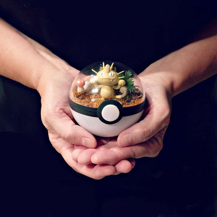 モンスターボールの中で暮らすポケモン！”ポケモンテラリウム”が可愛いと話題に！　
