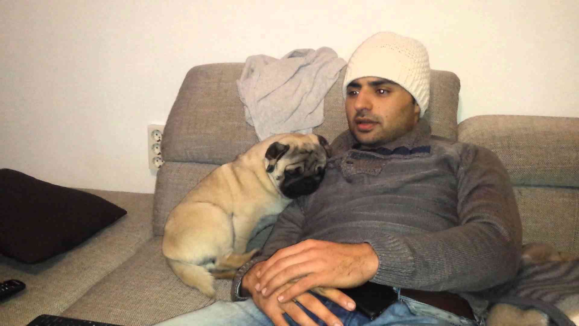 Pug cuddle - YouTube