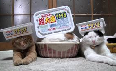 カップ焼きそば好きな人