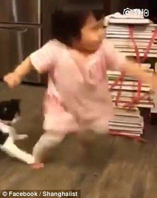 ネコが子供の足を引っかけて転ばせた!?これはぜったいわざとｗｗ 