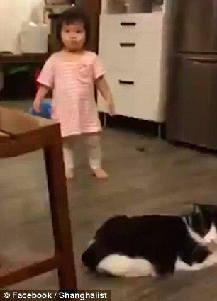 ネコが子供の足を引っかけて転ばせた!?これはぜったいわざとｗｗ 