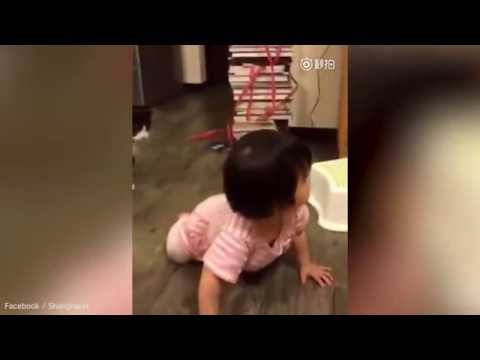 Shocking moment evil cat makes toddler trip with furry paw - YouTube