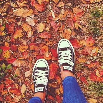 インスタでおしゃれな人が載せてそうな画像をひたすら貼っていくトピ