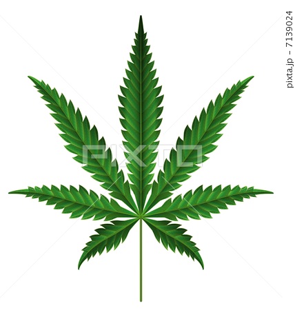 末期がん患者が最後にすがった大麻は違法か？劇的改善の被告が「命守るため」と無罪主張