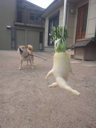 足が太い人ーーーー！！！！！！