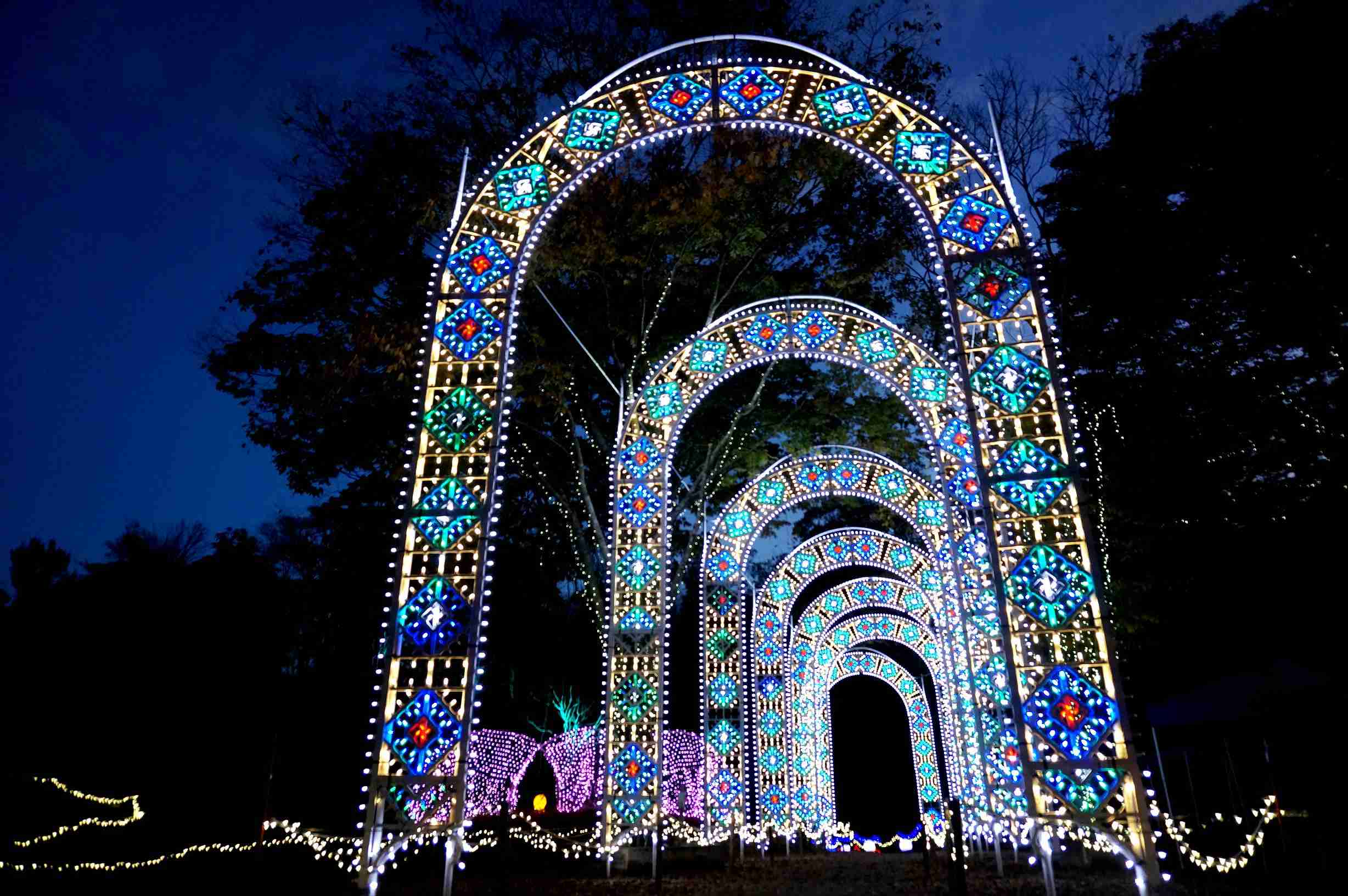 イルミネーションの画像みたいです！