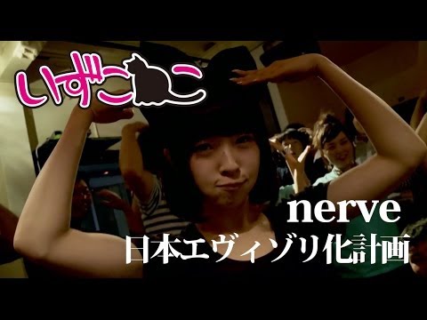 いずこねこ / nerve "日本エヴィゾリ化計画" - YouTube