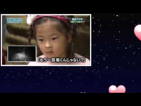 ザ!鉄腕!DASH 2016年11月20日 161120 0円食堂 大倉忠義 - YouTube