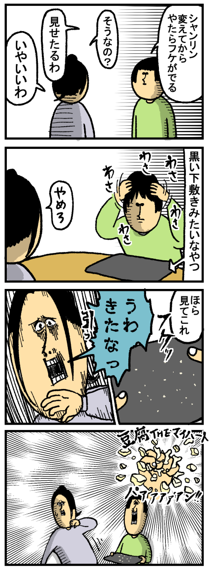 全て某シャンプーのせいだから : まめきちまめこの日常