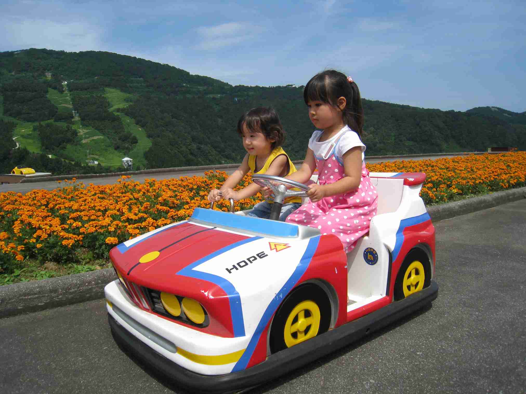 ペーパードライバーにオススメの車って何ですか？