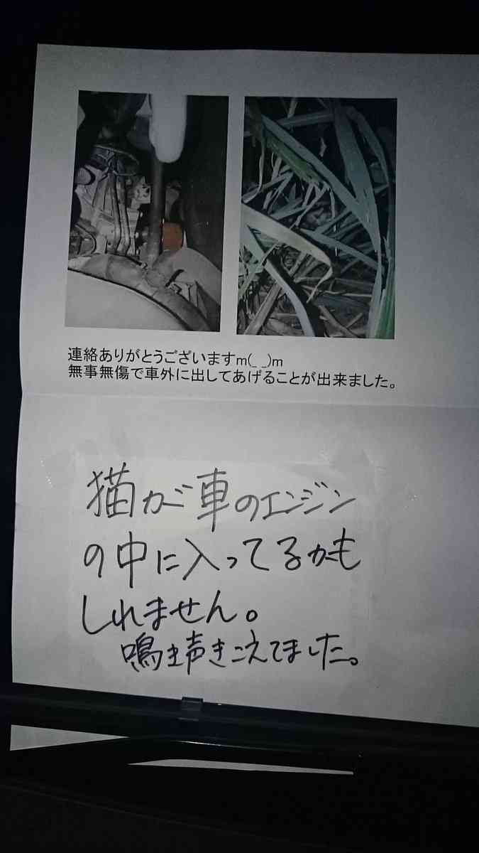車のワイパーに張り紙があったのでボンネット開けてみたら…