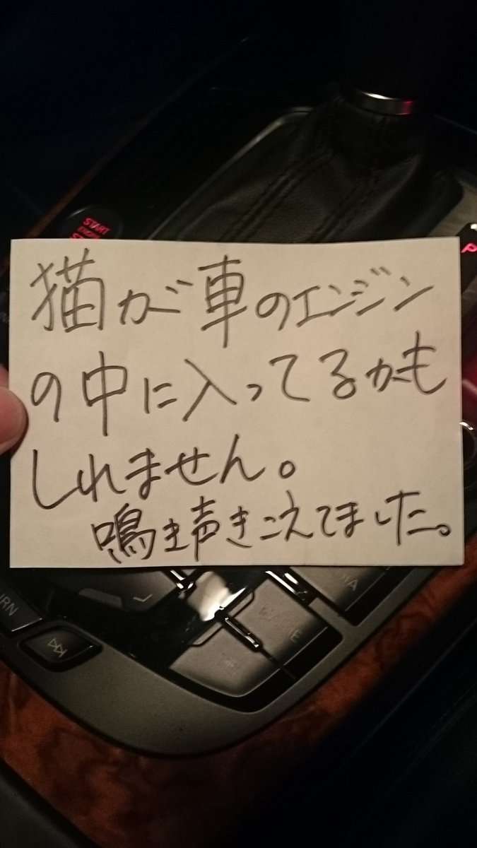 車のワイパーに張り紙があったのでボンネット開けてみたら…:ハムスター速報