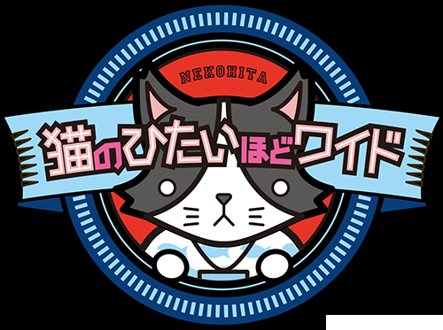 平日お昼の番組、なに見てますか?