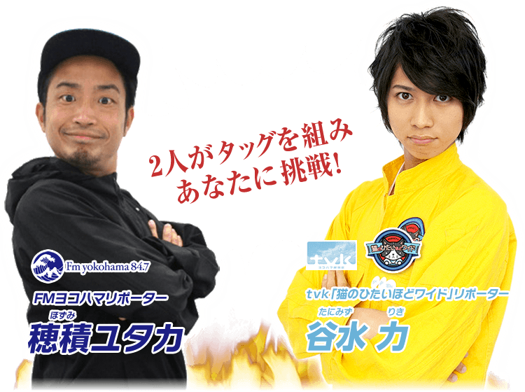 平日お昼の番組、なに見てますか?