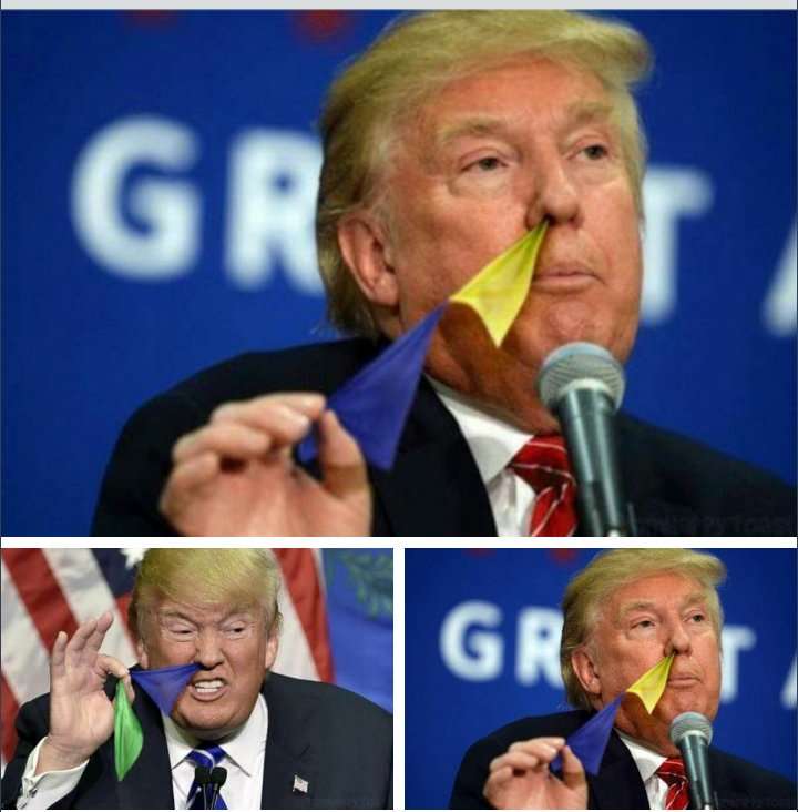 鼻から旗を引っ張り出しているドナルド・トランプ候補のコラ画像が話題
