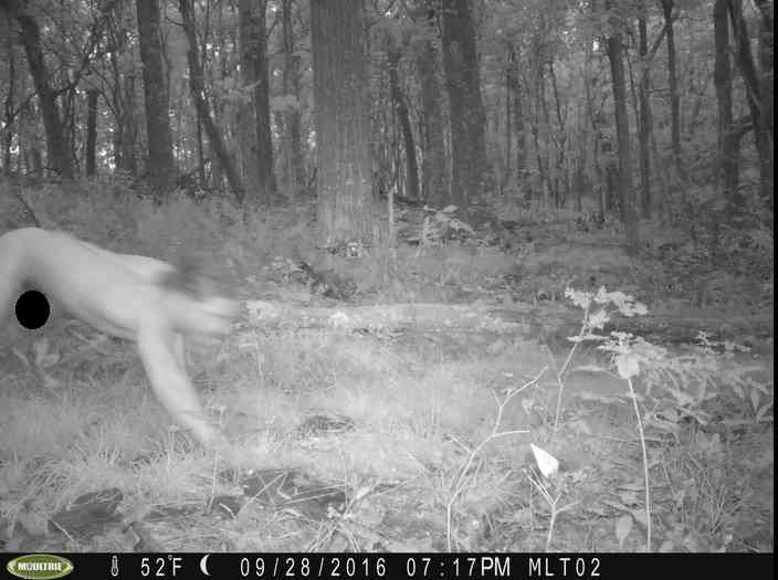 【閲覧注意?】野生動物観察のため森にカメラを仕掛けたところ、予想外のモノが撮影され研究者困惑