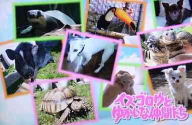 森泉が誰に対してもタメ口な理由を明かす 本物のセレブは怒らないから ガールズちゃんねる Girls Channel