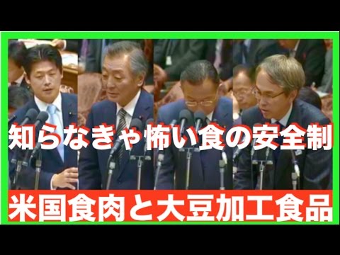 松浪健太（維新）新たなTPP問題提起！知らなきゃ怖い食の安全性とは？加工食品の表示の見分け方がダブルスタンダードで統一されていない現状の危機！重要課題山積議論！どうする日本　2016年10月18 - YouTube