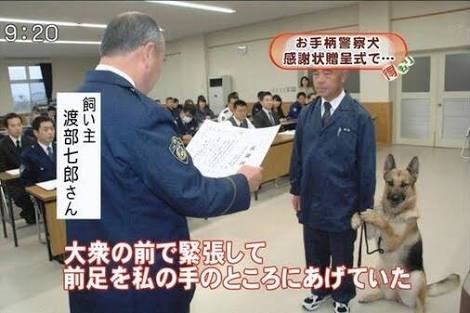 ガルちゃんでよく見る画像