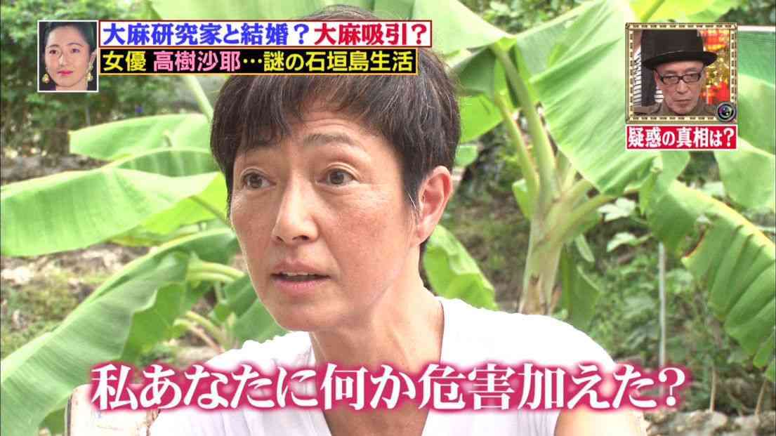 「大麻を使用していました」高樹沙耶容疑者が供述